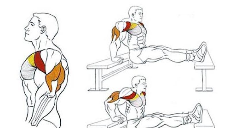 Exercices de triceps à la maison