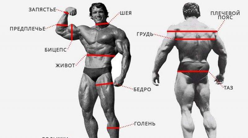 Body measurements in bodybuilding: how to do it at home?